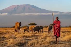 Karibu Kenya